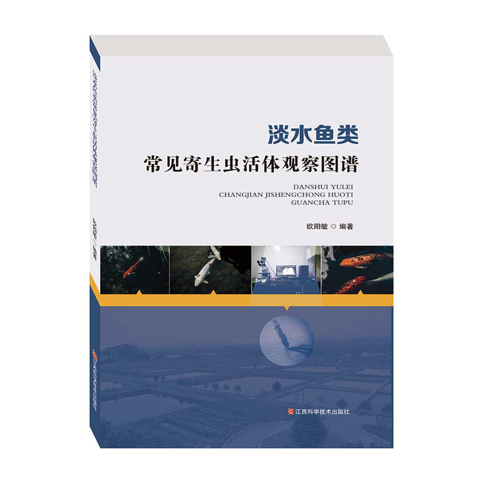 淡水鱼类-立体封面-2