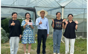 【直播后记】辣椒越冬长茬设施栽培技术
